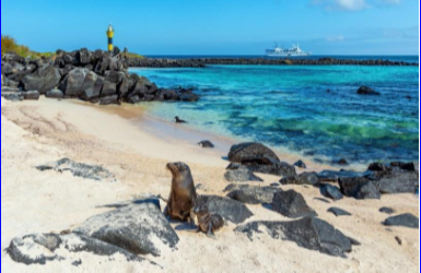 GALÁPAGOS SILVER – 4 NOCHES STA CRUZ (1 ISLA) – BOLETO AEREO FERIADO DIA DE MUERTOS 2024